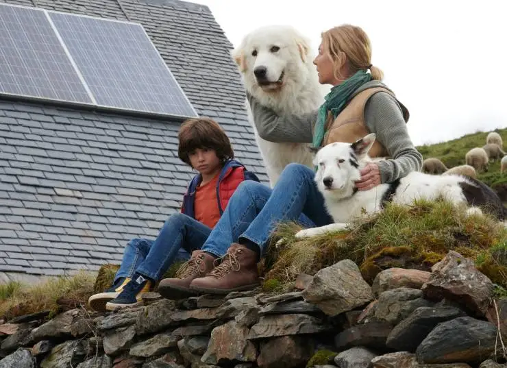 Белль и Себастьян: Новое поколение (2022) смотреть онлайн Белль и Себастьян: Новое поколение (2022) фильм смотреть онлайн