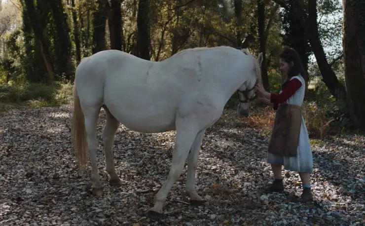 Italian Best Shorts 5: Жизнь как чудо (2023) смотреть онлайн бесплатно Italian Best Shorts 5: Жизнь как чудо (2023) фильм смотреть онлайн бесплатно