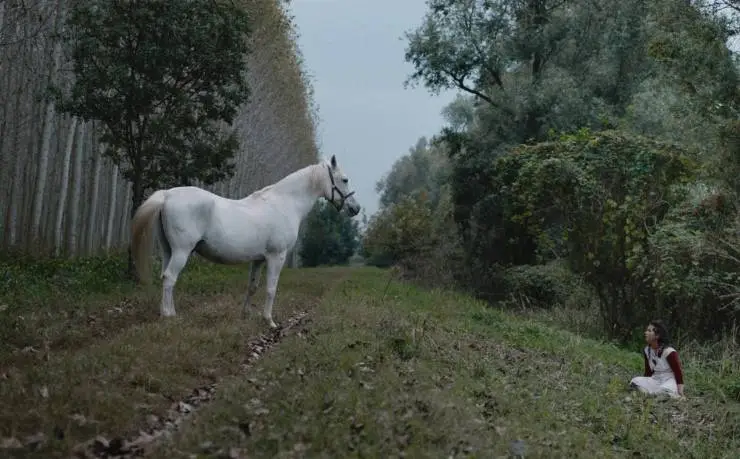 Italian Best Shorts 5: Жизнь как чудо (2023) в хорошем качестве смотреть онлайн Italian Best Shorts 5: Жизнь как чудо (2023) фильм в хорошем качестве смотреть онлайн