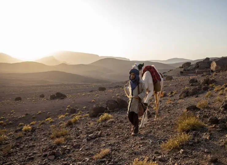 Принц пустыни (2023) смотреть онлайн Принц пустыни (2023) фильм смотреть онлайн