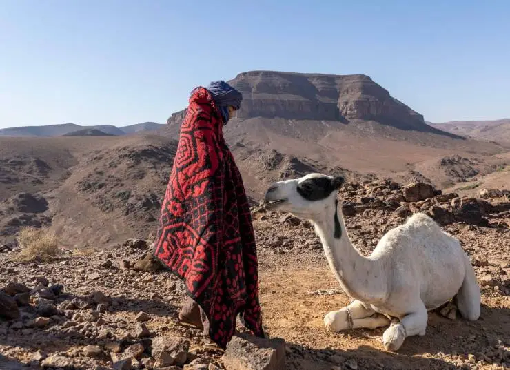 Принц пустыни (2023) смотреть онлайн бесплатно Принц пустыни (2023) фильм смотреть онлайн бесплатно