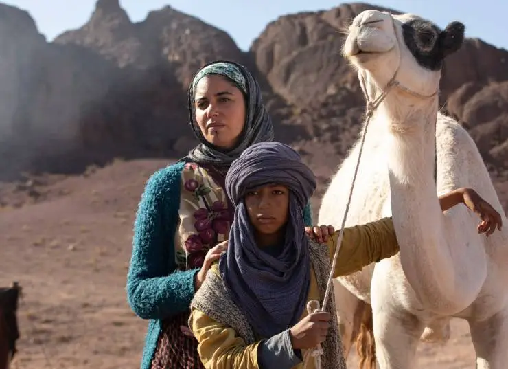 Принц пустыни (2023) в хорошем качестве смотреть онлайн Принц пустыни (2023) фильм в хорошем качестве смотреть онлайн