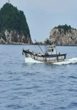 Контрабандистки (2023) смотреть онлайн Контрабандистки (2023) фильм смотреть онлайн