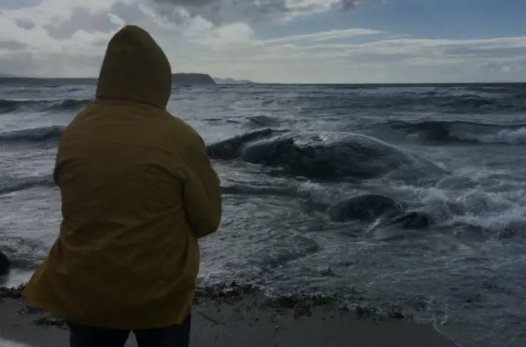 Italian Best Shorts 6: Дом, милый дом (2023) смотреть онлайн бесплатно Italian Best Shorts 6: Дом, милый дом (2023) фильм смотреть онлайн бесплатно