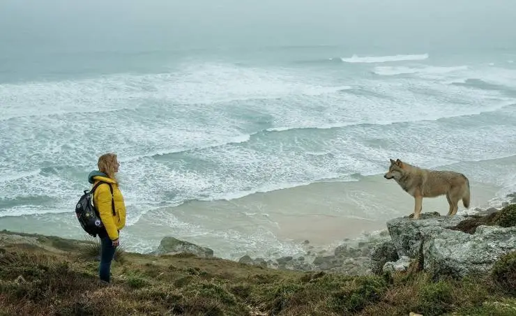 Комната чудес (2023) смотреть онлайн бесплатно Комната чудес (2023) фильм смотреть онлайн бесплатно