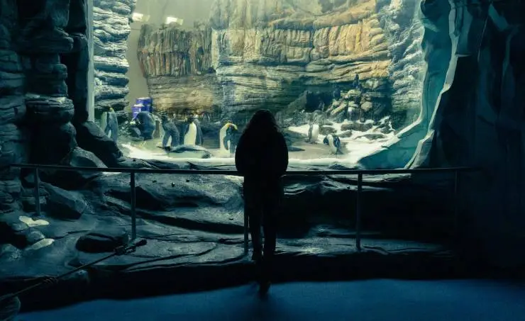 По правилам и без (2022) в хорошем качестве смотреть онлайн По правилам и без (2022) фильм в хорошем качестве смотреть онлайн