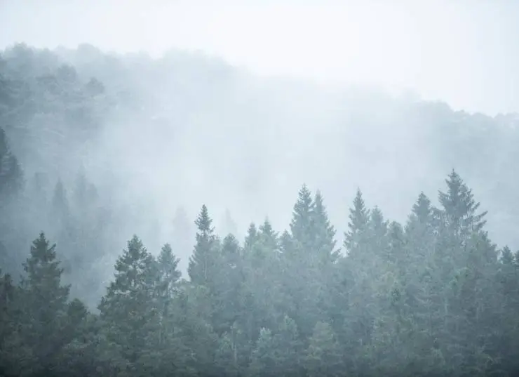 Астрал: Потомство (2022) смотреть онлайн Астрал: Потомство (2022) фильм смотреть онлайн