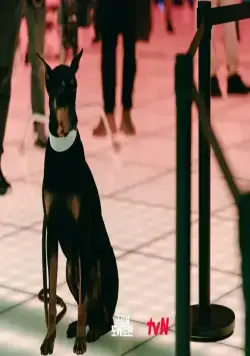 Военный прокурор Доберман (2022) 1 сезон 1-14,15,16 серия смотреть онлайн бесплатно Военный прокурор Доберман (2022) сериал 1-14,15,16 серию 1 сезона смотреть онлайн бесплатно