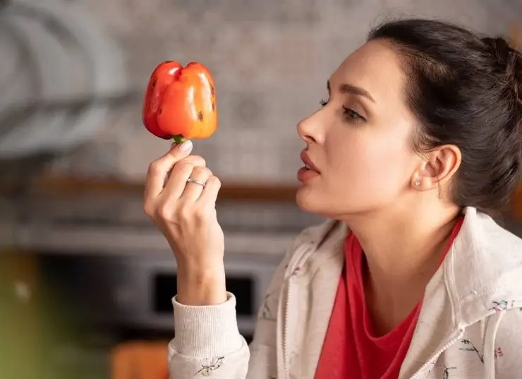 Семейка (2021) смотреть онлайн бесплатно Семейка (2021) сериал смотреть онлайн бесплатно