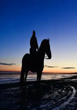 Чингачгук (2021) 1 сезон 1-18,19,20 серия смотреть онлайн Чингачгук (2021) сериал 1-18,19,20 серию 1 сезона смотреть онлайн