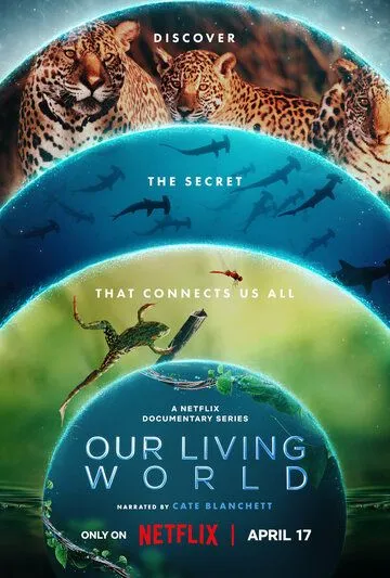 Наш живой мир / Our Living World (2024) cериал смотреть онлайн Наш живой мир / Our Living World (2024) cериал смотреть онлайн в хорошем качестве