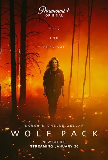Волчья стая / Wolf Pack (2023) cериал смотреть онлайн в хорошем качестве