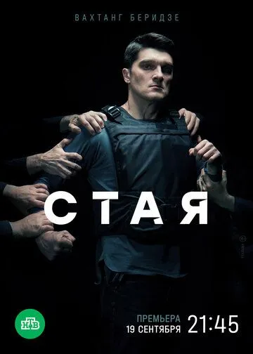 Стая (2022) cериал смотреть онлайн Стая (2022) cериал смотреть онлайн в хорошем качестве