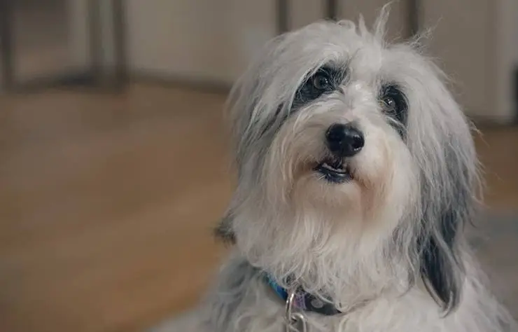 Человек против пчелы (2022) смотреть онлайн Человек против пчелы (2022) сериал смотреть онлайн