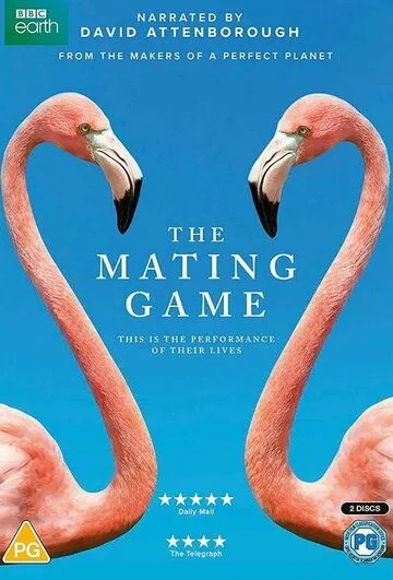 Брачная игра / The Mating Game (2021) cериал смотреть онлайн в хорошем качестве
