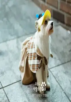 Отличный день, чтобы стать собакой (2023) 1 сезон 1-12,13,14 серия в хорошем качестве смотреть онлайн Отличный день, чтобы стать собакой (2023) сериал 1-12,13,14 серию 1 сезона в хорошем качестве смотреть онлайн