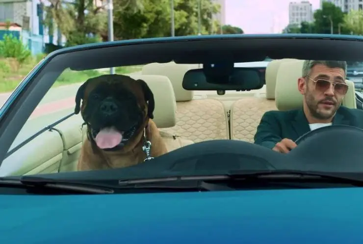 Джек и Лондон (2021) 1 сезон 1-10,11,12 серия смотреть онлайн бесплатно Джек и Лондон (2021) сериал 1-10,11,12 серию 1 сезона смотреть онлайн бесплатно