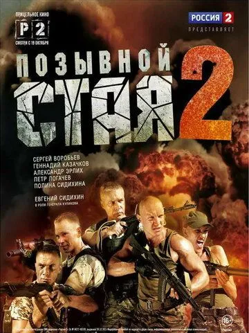 Позывной «Стая» 2 (2014) cериал смотреть онлайн в хорошем качестве