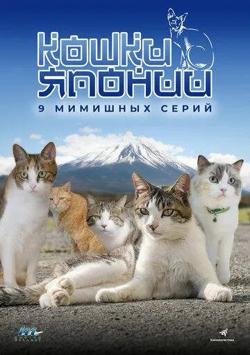 Кошки Японии / Cats of Japan (2017) cериал смотреть онлайн в хорошем качестве