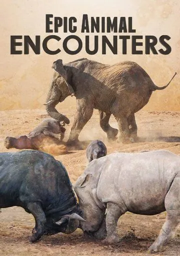 Epic Animal Encounters (2019) cериал смотреть онлайн в хорошем качестве