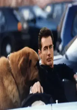 Собачье дело (2000) смотреть онлайн Собачье дело (2000) сериал смотреть онлайн