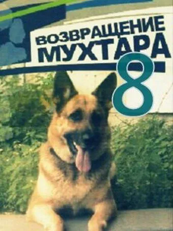 Возвращение Мухтара 8 (2012) cериал смотреть онлайн Возвращение Мухтара 8 (2012) cериал смотреть онлайн в хорошем качестве