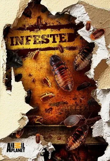 Вторжение паразитов / Infested! (2011) cериал смотреть онлайн в хорошем качестве