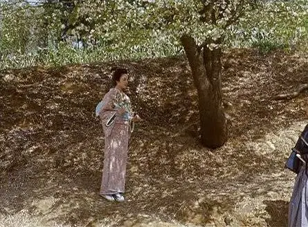 Горная сакура (2008) смотреть онлайн Горная сакура (2008) фильм смотреть онлайн