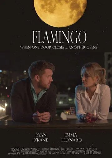 Фламинго / Flamingo (2020) фильм смотреть онлайн в хорошем качестве