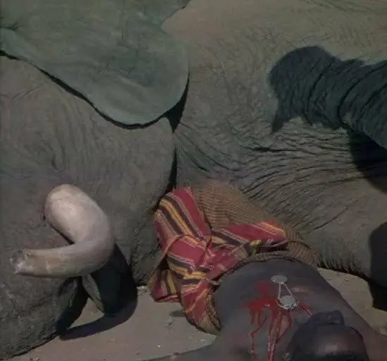 Копи царя Соломона (1950) смотреть онлайн бесплатно Копи царя Соломона (1950) фильм смотреть онлайн бесплатно