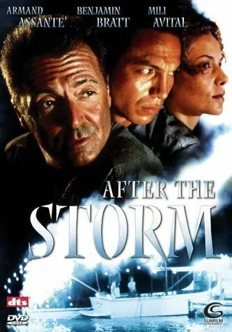 После шторма / After the Storm (2001) фильм смотреть онлайн в хорошем качестве