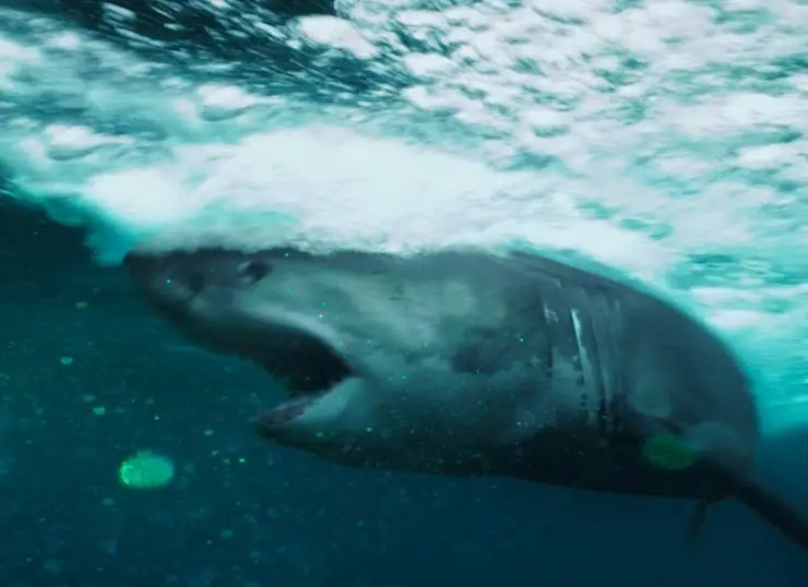 Открытое море: Монстр глубины (2022) смотреть онлайн Открытое море: Монстр глубины (2022) фильм смотреть онлайн