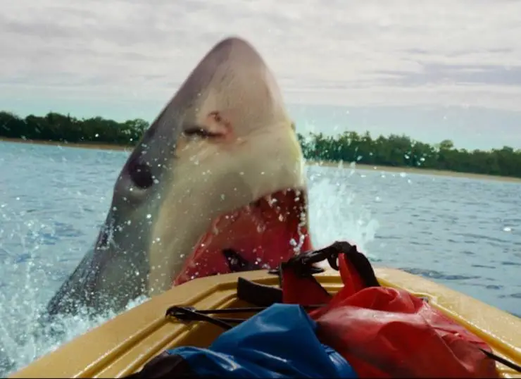 Открытое море: Монстр глубины (2022) в хорошем качестве смотреть онлайн Открытое море: Монстр глубины (2022) фильм в хорошем качестве смотреть онлайн