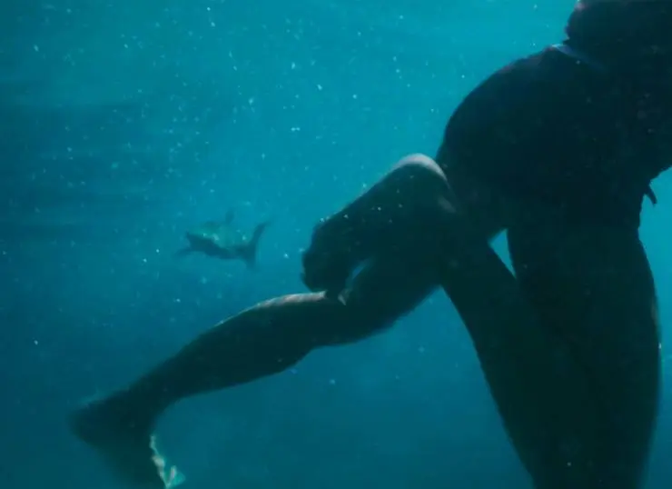 Открытое море: Монстр глубины (2022) смотреть онлайн бесплатно Открытое море: Монстр глубины (2022) фильм смотреть онлайн бесплатно