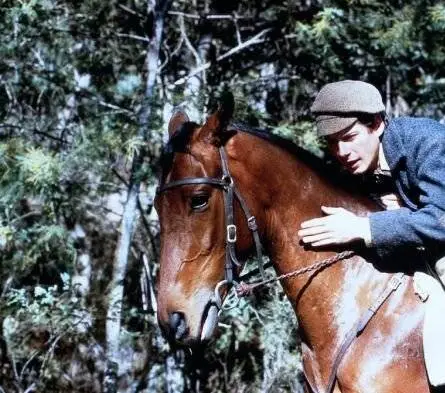 Мельбурнский кубок (1985) смотреть онлайн бесплатно Мельбурнский кубок (1985) фильм смотреть онлайн бесплатно