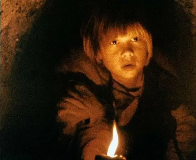 Братья Львиное сердце (1977) смотреть онлайн Братья Львиное сердце (1977) фильм смотреть онлайн