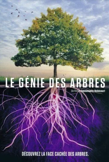 Деревья: гении мира природы / Le génie des arbres (2020) фильм смотреть онлайн Деревья: гении мира природы / Le génie des arbres (2020) фильм смотреть онлайн в хорошем качестве