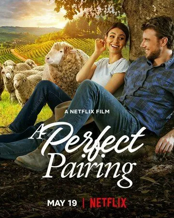 Идеальное сочетание / A Perfect Pairing (2022) фильм смотреть онлайн в хорошем качестве