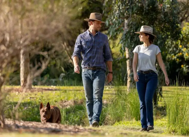 Идеальное сочетание (2022) смотреть онлайн бесплатно Идеальное сочетание (2022) фильм смотреть онлайн бесплатно