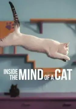 Внутри разума кошки / Inside the Mind of a Cat (2022) фильм смотреть онлайн Внутри разума кошки / Inside the Mind of a Cat (2022) фильм смотреть онлайн в хорошем качестве