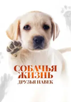 Собачья жизнь: Друзья навек / Zai jian, Li Kele (2023) фильм смотреть онлайн Собачья жизнь: Друзья навек / Zai jian, Li Kele (2023) фильм смотреть онлайн в хорошем качестве