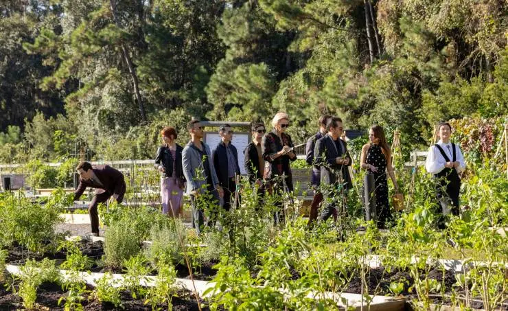 Меню (2022) смотреть онлайн бесплатно Меню (2022) фильм смотреть онлайн бесплатно