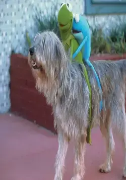 Лягушонок Кермит: Годы в болоте (2002) смотреть онлайн Лягушонок Кермит: Годы в болоте (2002) фильм смотреть онлайн