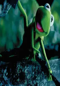 Лягушонок Кермит: Годы в болоте (2002) в хорошем качестве смотреть онлайн Лягушонок Кермит: Годы в болоте (2002) фильм в хорошем качестве смотреть онлайн