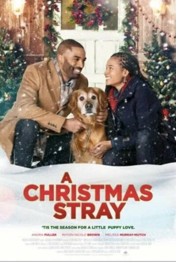 Рождественская дворняжка / A Christmas Stray (2021) фильм смотреть онлайн Рождественская дворняжка / A Christmas Stray (2021) фильм смотреть онлайн в хорошем качестве