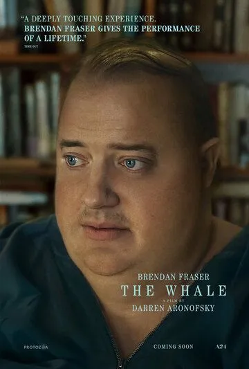 Кит / The Whale (2022) фильм смотреть онлайн Кит / The Whale (2022) фильм смотреть онлайн в хорошем качестве