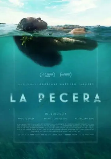 La pecera (2023) фильм смотреть онлайн La pecera (2023) фильм смотреть онлайн в хорошем качестве