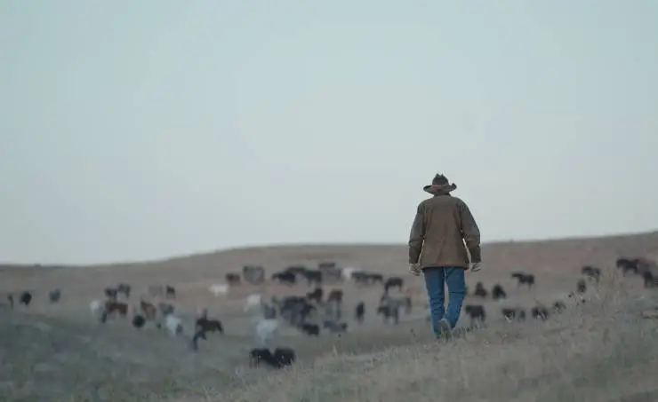 Лошади Фрэнка (2022) в хорошем качестве смотреть онлайн Лошади Фрэнка (2022) фильм в хорошем качестве смотреть онлайн