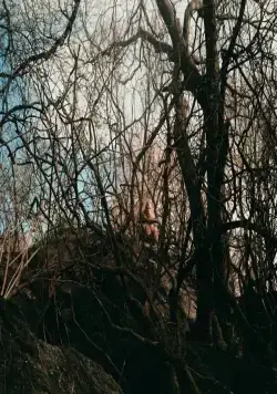 Лохматые предки (2024) смотреть онлайн бесплатно Лохматые предки (2024) фильм смотреть онлайн бесплатно