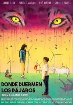 Там, где спят птицы / Donde duermen los pájaros (2022) фильм смотреть онлайн Там, где спят птицы / Donde duermen los pájaros (2022) фильм смотреть онлайн в хорошем качестве